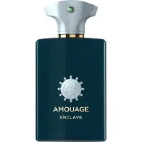 Amouage Enclave Eau De Parfum 100 ml (unisex)