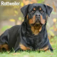 Avonside Publishing Ltd. Rottweiler Kalender 2027