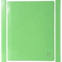 Exacompta 380805B 25x Schnellhefter Iderama aus Colorspan-Karton, kaschiert, 355g/m2, für DIN A4 - grün