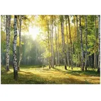 WALLARENA Fototapete Wald in Grün | Gr.: 150 x 105 cm