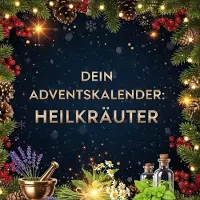 Sonstige Verlage Dein Adventskalender: Heilkräuter