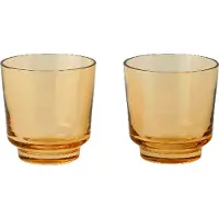 Muuto Wasserglas Raise Burnt Orange 200 ml (2er-Set)