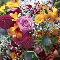 Duni 240 Tissue-Servietten 33 x 33 cm Meadow Bouquet 3-lagig