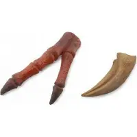 Collecta Geschenkset - Vorgeschichte