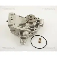 TRISCAN Wasserpumpe [Hersteller-Nr. 860010019] für Opel, Renault, Vauxhall