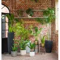 LOU DE CASTELLANE Alocasia Zebrina 94 cm - Grün Plastik 0.01x0.01 cm