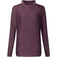 Dare 2b Dare2b Sprint Cty Hoodie huckleberry (ZGQ) 14