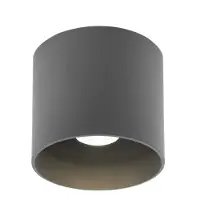 Wever & Ducre LED-Deckenaußenleuchte RAY OUTDOOR CEILING SURF 1.0 3000K D dunkelgrau 3000K 735458D5 5404037333783
