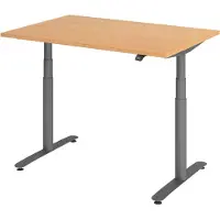 Bümö Schreibtisch elektrisch Bluetooth & App XDLR - Nachbildung: Buche, Größe: 120 x 80 cm, Gestell: Graphit