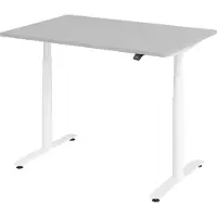 Bümö Schreibtisch elektrisch Bluetooth & App XDLR - Größe: 120 x 80 cm, Nachbildung: Grau, Gestell: Weiß