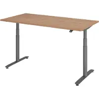 Bümö Schreibtisch elektrisch Bluetooth & App XDLR - Größe: 160 x 80 cm, Gestell: Graphit, Nachbildung: Nussbaum