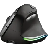 Trust Bayo, rechts, Optisch, RF Wireless, 2400 DPI, Schwarz