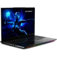 Medion Erazer Beast 16 X10 Ultimate Gaming Laptop 16" QHD+ mini LED 300Hz Intel Core Ultra 9 290HX 64GB/2TB RTX 5090 Win11
