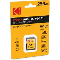 Kodak EKMSD256GXC10HPRK, 256 GB, SDXC, Klasse 10, UHS-I, 100 MB/s, 85 MB/s
