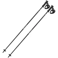 Salomon Herren Alpin-Skistock POLES POLAR PRIME CB ERGO S3 Black