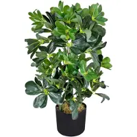 Decovego Kunstpflanze Schefflera Arboricola, im Topf, Höhe 60 cm