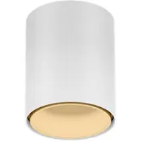 Wever & Ducre LED-Downlight RAY MINI CEILING SURF 1.0 - 3000K W-M weiß-champagner 258254WM5 5404037364541