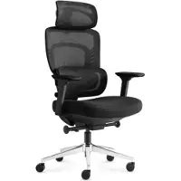 Adler Ergonomischer Bürostuhl Visioner 6.1 Black N