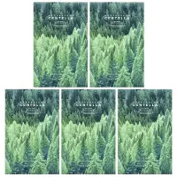 SKIN1004 Madagaskar Centella, Tea-Trica Entspannende Schönheitsmaske