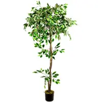 Decovego Kunstpflanze Weißer Ficus Benjamin, Kunstbaum im Topf, mit Echtholzstamm, Höhe 160 cm