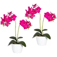 Creativ Green Kunstpflanze "Phalaenopsis"