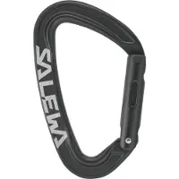 Salewa - Ortles Straight Carabiner - Schnappkarabiner grau