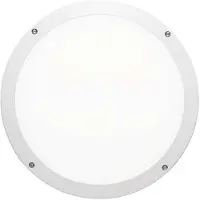 Trilux LED-Wand-/Deckenleuchte Skeo Circ M #7578140