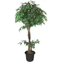 Brulo Kunstpflanze Ficus Benjamin, Kunstbaum im Topf, mit Echtholzstamm, Höhe 160 cm