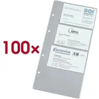 Eichner 100er-Pack Visitenkartenhüllen für je 8 Karten, 12x24.5 cm