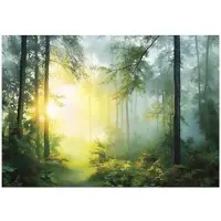 WALLARENA FOTOTAPETE 3D Effekt Wald Sonne Wohnzimmer 400x280