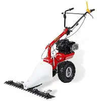 Eurosystems M250 Balkenmäher, Schneidwerk 107 cm, B & S Series 850 InStart