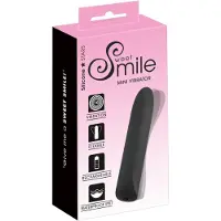 Sweet Smile - Schlichter Mini-Vibrator 1 St Vibrator