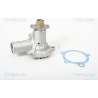 TRISCAN Wasserpumpe 8600 16875