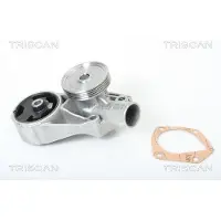 TRISCAN Wasserpumpe 8600 67001