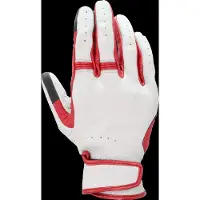 Alpinestars Dyno Lederhandschuhe