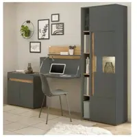 Furn.Design Aktenschrank Set 4-teilig grau matt, Eiche Wotan 290 cm, Büromöbel mit Sekretär | Gr.: onesize