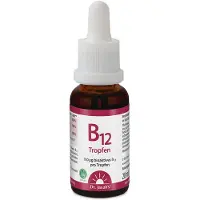 Dr. Jacob's Vitamin B12 Tropfen 100 mcg Methylcobalamin vegan