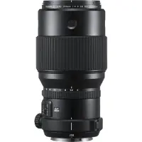 Fujifilm GF250mmF4 R LM OIS WR, Teleobjektiv, 16/10, 250 - 250 mm