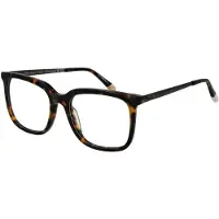 O'Neill Brillenfassung ONB-4017 102 52