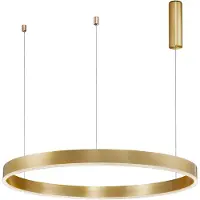 Lyora MOTIF LED Pendelleuchte Messing 60W Steuerbare Lichtfarbe 200x100cm dimmbar 9530208