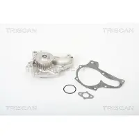 TRISCAN Wasserpumpe 8600 13029