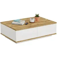 Dmora Couchtisch Marfik 90x60x28,6 cm Braun, 2 Fächer