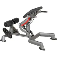 Sport-Thieme Rückenstrecker "OV"