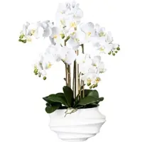 Creativ Green Kunstblume Orchidee, Phalaenopsis, weiß, im Topf, Höhe 75 cm