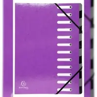 Exacompta 53926E 6x Ordnungsmappe Harmonika mit dehnbarem Rücken aus Colorspan-Karton, 12 Fächer - Iderama - Violett