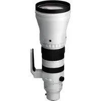 Sigma 300-600mm F4 DG OS (S) L-Mount