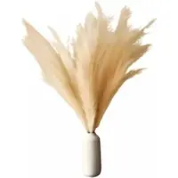 Layba Künstliches Pampasgras 3er-Set Beige 100 cm