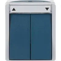Busch-Jaeger 2601/4 W-53, 2P, Grün, Grau, 250 V, 10 A, 74 mm, 55 mm