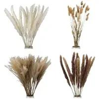 Gilde Dekoobjekt "Bündel Trockenblume Seco naturfarben H. 53 cm", beige (naturfarben), B:10cm H:53cm T:10cm, sonstige Fasern, Dekofiguren, Dekoobjekt