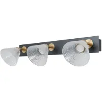 ITALUX Strahlerlampe LED 12W ORELLA WL-34393-3-BK-HBR